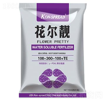 �����n100-300+100+TE-��ʩ��