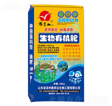 �����ЙC(j��)��-������(d��ng)��-����t