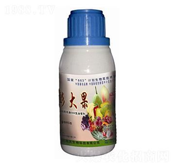 ϡ������-��������