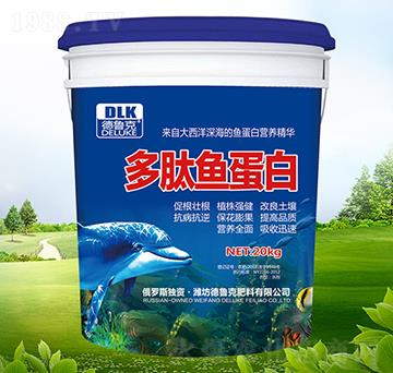 �����~����-������