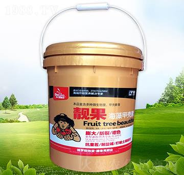 �n������ך���-������