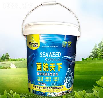 ̼�������������-���y(t��ng)