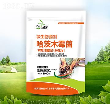 ����ľù����΢�������