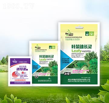 �~�����L(zh��ng)�`+�T��(d��o)��-��