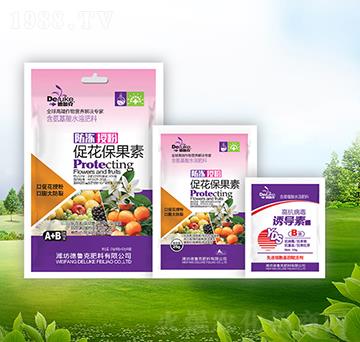 �����ڷ۴ٻ�������+�T