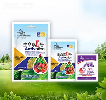 ������1̖(h��o)+�T��(d��o)��-��