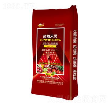 �ͺ�΢�������-������`-ɽ�|�������