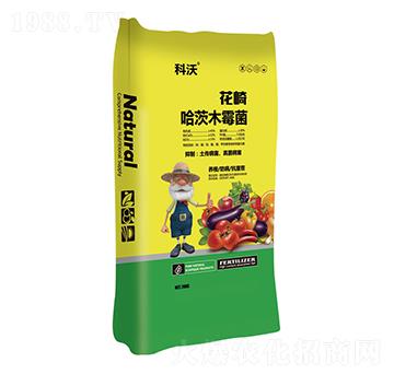 �������ľù��-����-ɽ�|�������