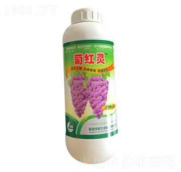 葡紅靈-綠都