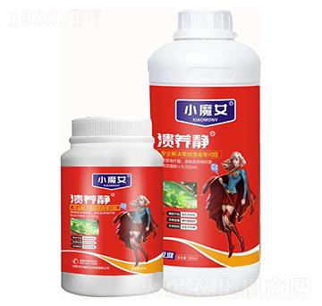 �����o-СħŮ-���н�