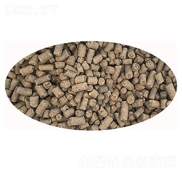 �w���������-ϲ��������