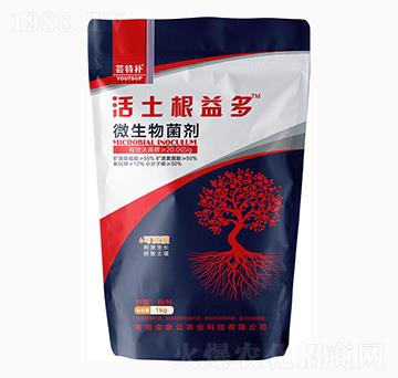 �|���a���������-�������r(n��ng)�I(y��)