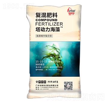 ���徫�A�����͏ͻ����15-15-15-����������-������