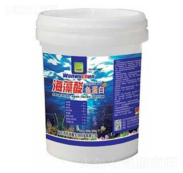 �������~����-�f�ﴺ