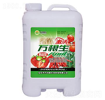 ��ݮ�����f����-�f�ﴺ