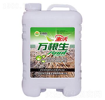 ͨ�����f����-�f�ﴺ