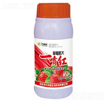 500ml��ݮ���һ���t-�f�ﴺ