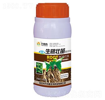 500ml���������(f��)�τ�-�f�ﴺ