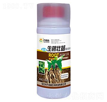 200ml���������(f��)�τ�-�f�ﴺ