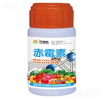 ��ù��-�f�ﴺ