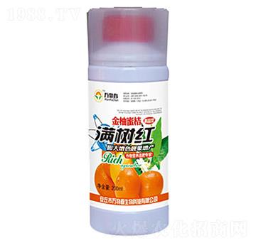 �����۽۝M��t-�f�ﴺ