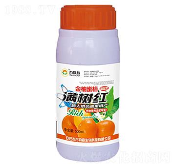 500ml�����۽۝M��t-�f�ﴺ