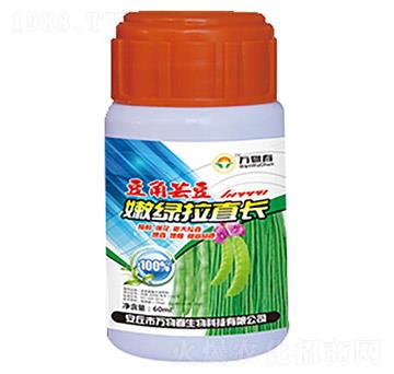 �����|���۾G��ֱ�L-�f�ﴺ