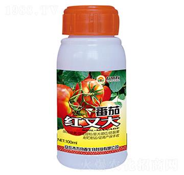 100ml���Ѽt�ִ�-�f�ﴺ