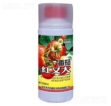 200ml���Ѽt�ִ�-�f�ﴺ