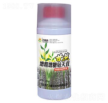 �������������@��ֱ-�f�ﴺ