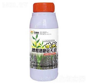 1000ml�������������@��ֱ-�f�ﴺ