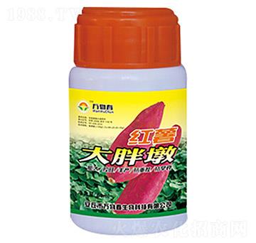 �t�����ֶ�-�f�ﴺ