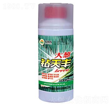 ���[�@���S-�f�ﴺ