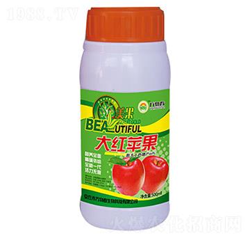 500ml��t�O��-�f�ﴺ