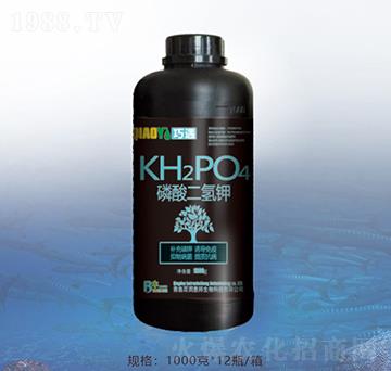 ��������-�ٝ��ݰ�