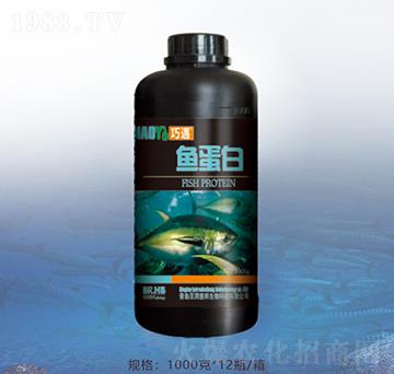 1000���~����-�ٝ��ݰ�