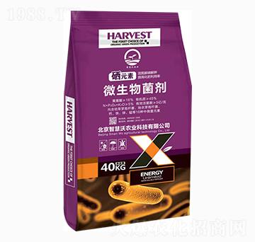 ΢�������-�ǻ���