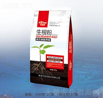 500g������-�ٝ��ݰ�