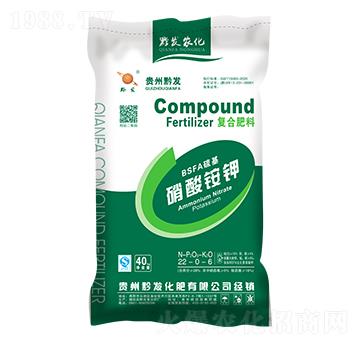 �����@⛏ͺϷ���22-