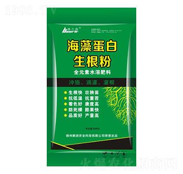 ���嵰��������-�i���r(n��ng)�I(y��)