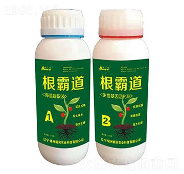 ���Ե�-�i��(r��n)�r(n��ng)�I(y��)