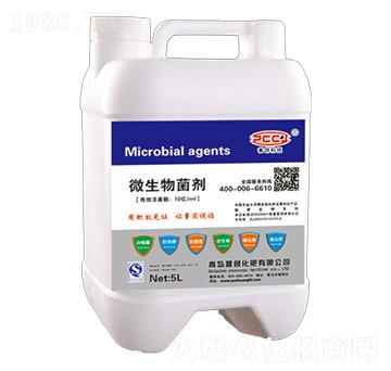 5L΢�������-�Մ�(chu��ng)