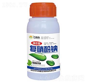 100ml��(f��)�����c-�f�ﴺ