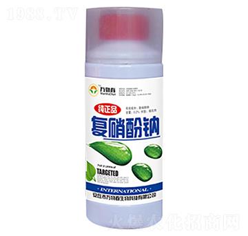 200ml��(f��)�����c-�f�ﴺ