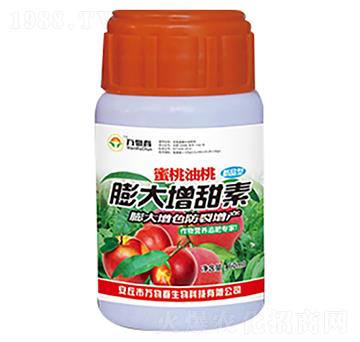 �����������������-�f�ﴺ