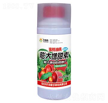 200ml�����������������-�f�ﴺ