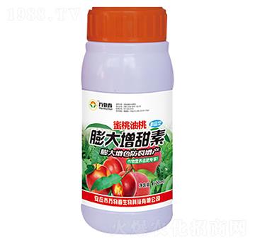 500ml�����������������-�f�ﴺ