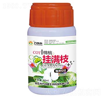 60ml���Ғ�M֦-�f�ﴺ