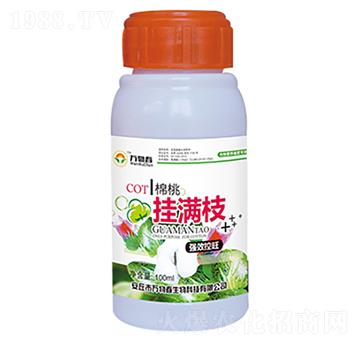 100ml���Ғ�M֦-�f�ﴺ