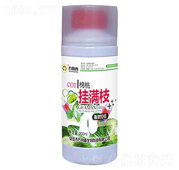 200ml���Ғ�M֦-�f�ﴺ